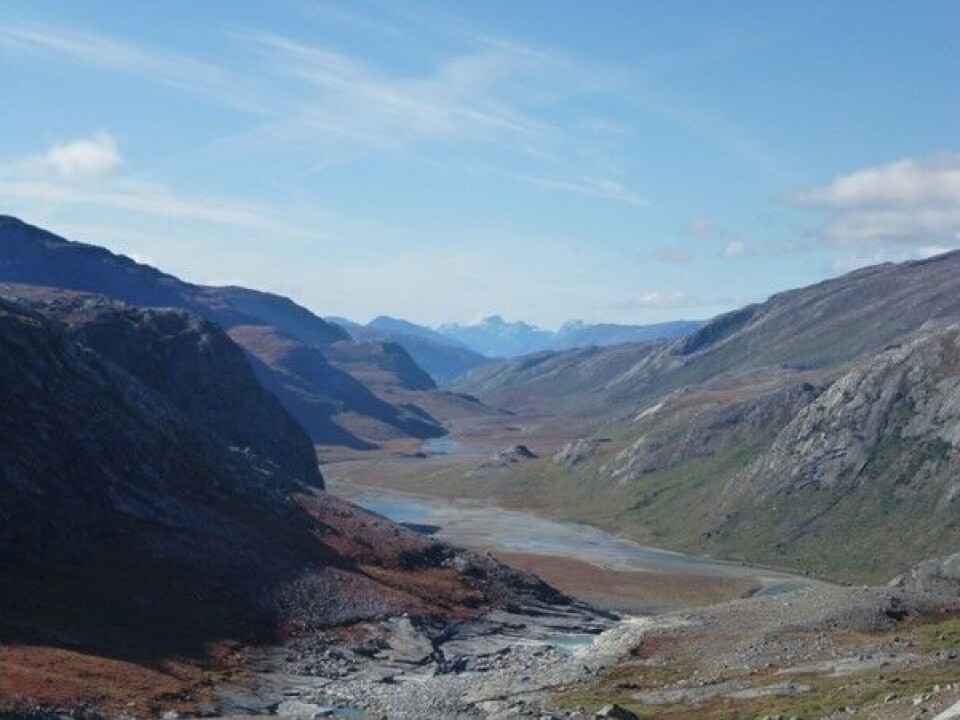 Overlooking the iceberg-covered fjord from where the margins of Akullersuup Sermia (left) and Kangiata Nunaata Sermia (right) were located in the 1920s (10 km from the current ice margin). While the Norse were in Greenland these glaciers merged and ultimately advanced another 13 km beyond this point.